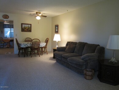 11141 W Emerald Dr, Sun City, AZ 85351 - photo 3