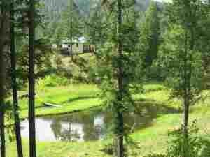 Property View & Pond