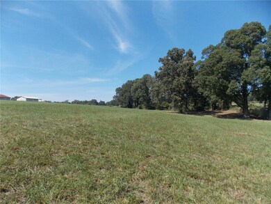 0 County Road 480, Poplar Bluff, MO 63901 - photo 5