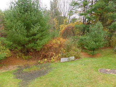 Yard/Garden.