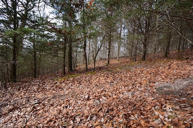 TBD Hickory Dr, Pounding Mill, VA 24637 - photo 4