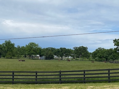 LOT 56 Beverly Way, Spring Grove, IL 60081 - photo 5