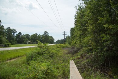 0 Daw Collins Rd, Cleveland, TX 77328 - photo 5