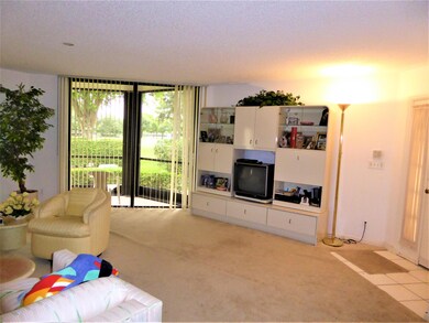 Living Room View