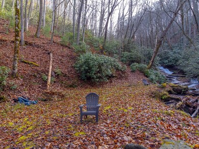 2001 Little Ellijay Rd, Franklin, NC 28734 - photo 7