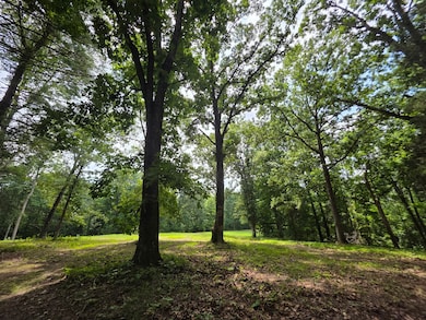 0 Baggett Hollow unit RTC3052017, Cunningham, TN 37052 - photo 2