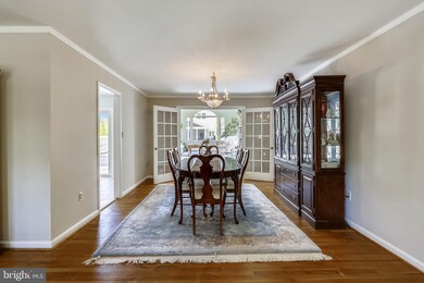 1403 Dade Ln, Alexandria, VA 22308 - photo 5
