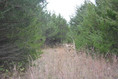 0000 Q Rd, Hoyt, KS 66440 - photo 4