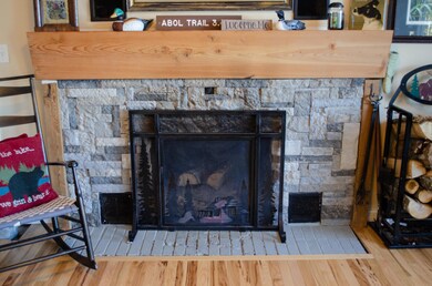 Living Room Fireplace