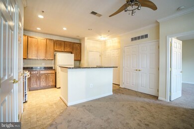 1301 Karen Blvd unit 402, Capitol Heights, MD 20743 - photo 5