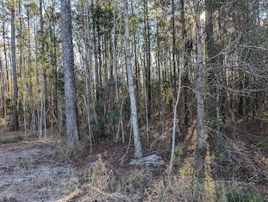 0 Breakwater Loop unit 25694794, Kingsland, GA 31548 - photo 5