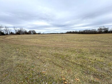 DJI_20250207_122636_565
