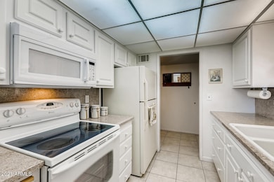 9710 W TEAKWOOD DR Sun City AZ-large-011