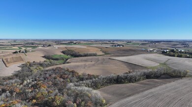 TBD County 10, Caledonia Township, MN 55921 - photo 7