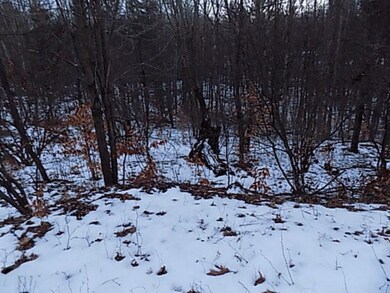 77 Fence Row Cir, Leroy, MI 49655 - photo 7