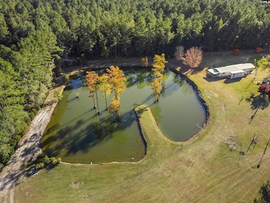 646 Briar Creek Rd, Branchville, SC 29432 - photo 6