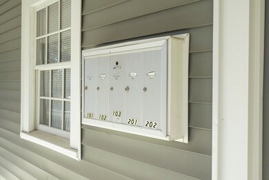 Collect Your Mail