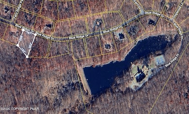 Image 11-5-25 at 4.25PM