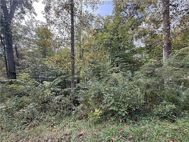 1189 Hillcrest Dr, Saint Albans, WV 25177 - photo 7