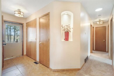 12730 Herring Rd, Colorado Springs, CO 80908 - photo 4