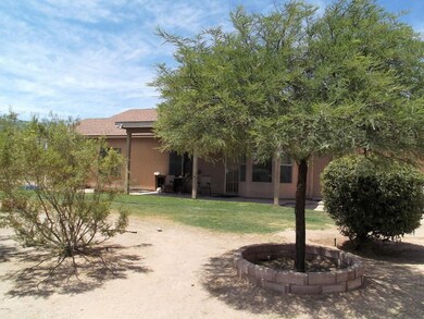 Grass and Trees