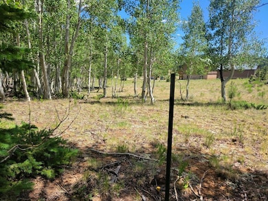 4175 Sundance Kid Ln, Duck Creek Village, UT 84762 - photo 6