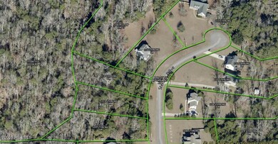 113 Sterling Dr, Sneads Ferry, NC 28460 - photo 4