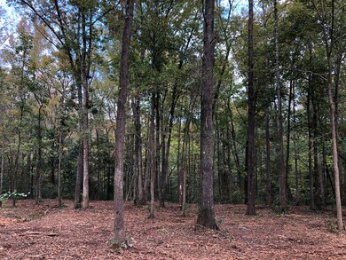 4581 Gray Ln, Evans, GA 30809 - photo 5