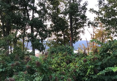 Lot #347 Norris Lake Access, Sunset Bay