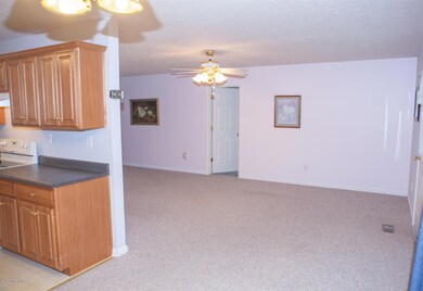 IMG_5419LR (Custom) (2)