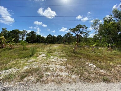 11871 Oscoda Ct, Pine Island Center, FL 33922 - photo 3