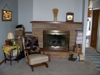 1009 Warren St, Chenoa, IL 61726 - photo 4