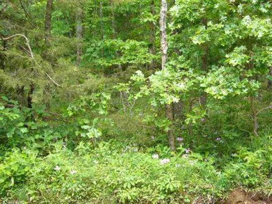 13760 Green Rd, West Fork, AR 72774 - photo 2