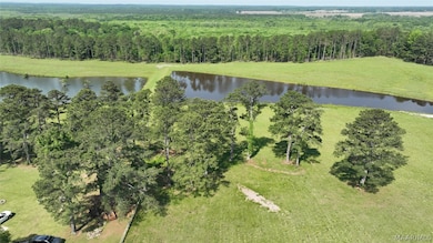 887 Highway 239, Midway, AL 36016 - photo 3