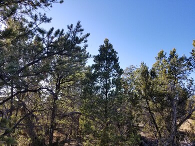 0 Cedar Creek Dr unit Lot 24L 218360, Aripine, AZ 85933 - photo 5