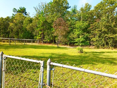 844 Windsor Rd, Windsor, SC 29856 - photo 3