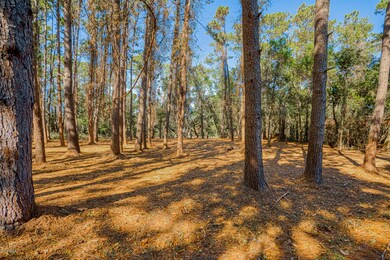 _DSC6795
