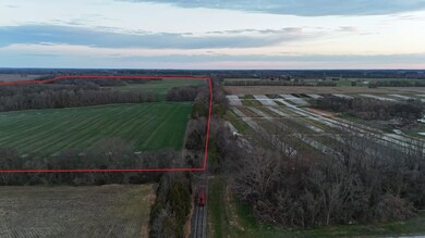 0 County Road 150, Courtland, AL 35618 - photo 6