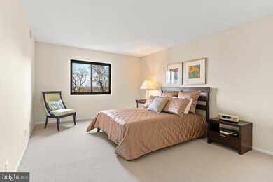 5901 Mount Eagle Dr unit 812, Alexandria, VA 22303 - photo 7