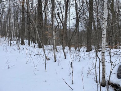 tbd Pebble Pass, Cushing Township, MN 56443 - photo 4