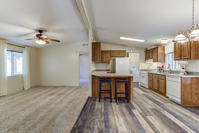 Living room and kitchen