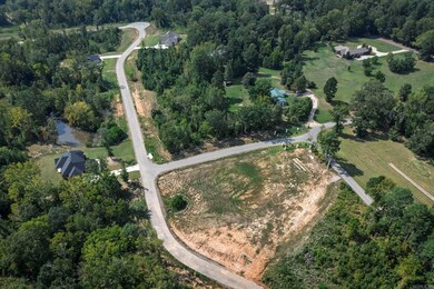 113 Shepherd Loop Dr, Arkadelphia, AR 71923 - photo 6