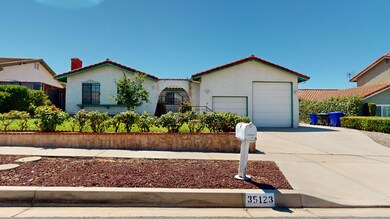 35123 Persimmon 3