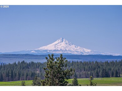 40 Mountainscape Cir, Goldendale, WA 98620 - photo 4