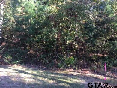 3005 Stonegate Blvd, Tyler, TX 75703 - photo 4