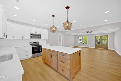 610 Cherry Marie Dr, Jonesborough, TN 37659 - photo 7