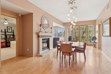 401 N 2nd St unit 202, Minneapolis, MN 55401 - photo 6