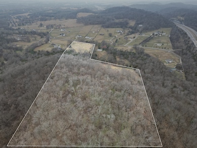 4511 Harpeth School Rd, Franklin, TN 37064 - photo 2