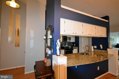13103 Briarcliff Terrace unit 1011, Germantown, MD 20874 - photo 5