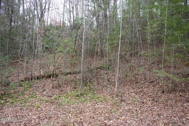 0 Waldens Creek Rd Lot 4r3 unit 1205621, Sevierville, TN 37876 - photo 5